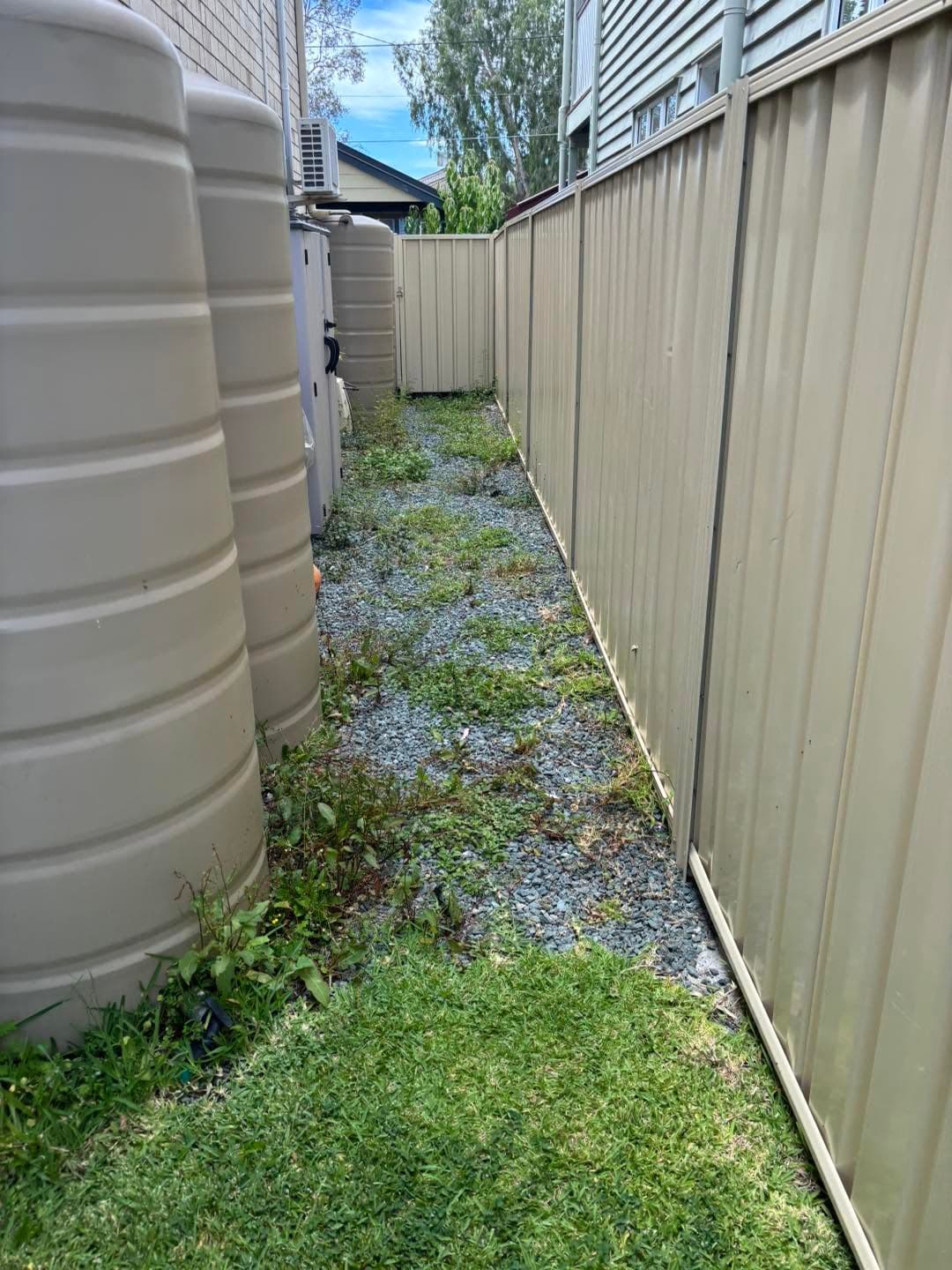 Overgrown gravel side access before the property clean-up