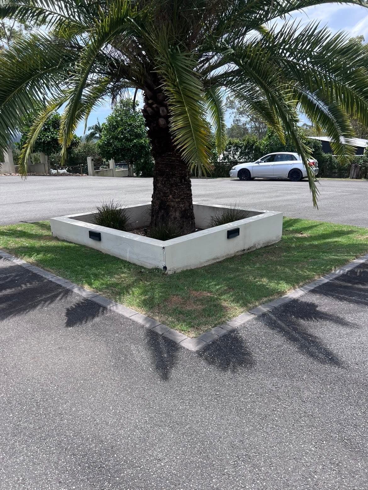 Palm planter with a crisp lawn edge beside a car park
