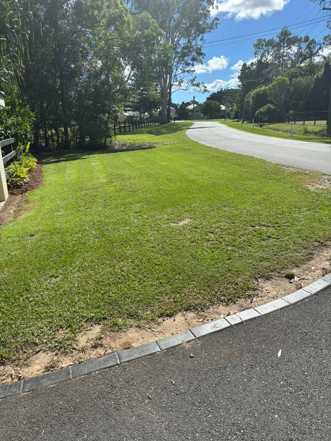 Striped roadside lawn with a clean mulched edge